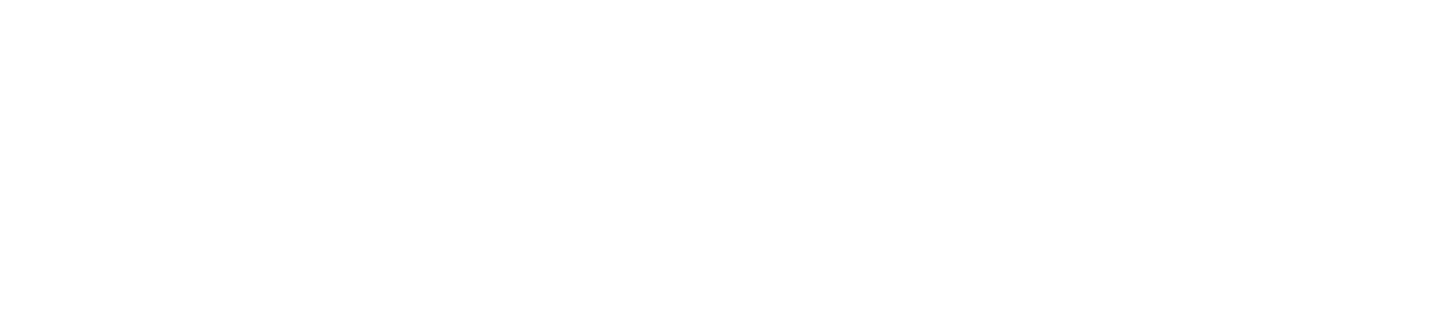 SVP (Senior Vice President) Resume Writing Archives